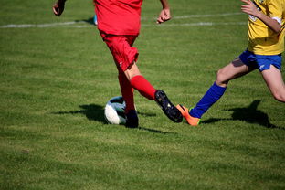 kaiyunsport-LPL多个队伍重组计划曝光转会期极度混乱，lpl战队转会期